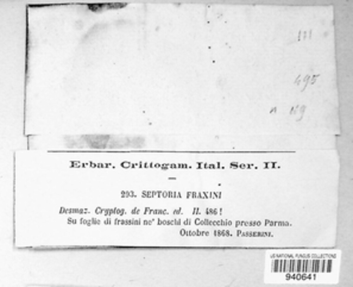 Passalora fraxini image